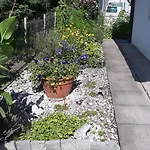Apartment In Domat Ems